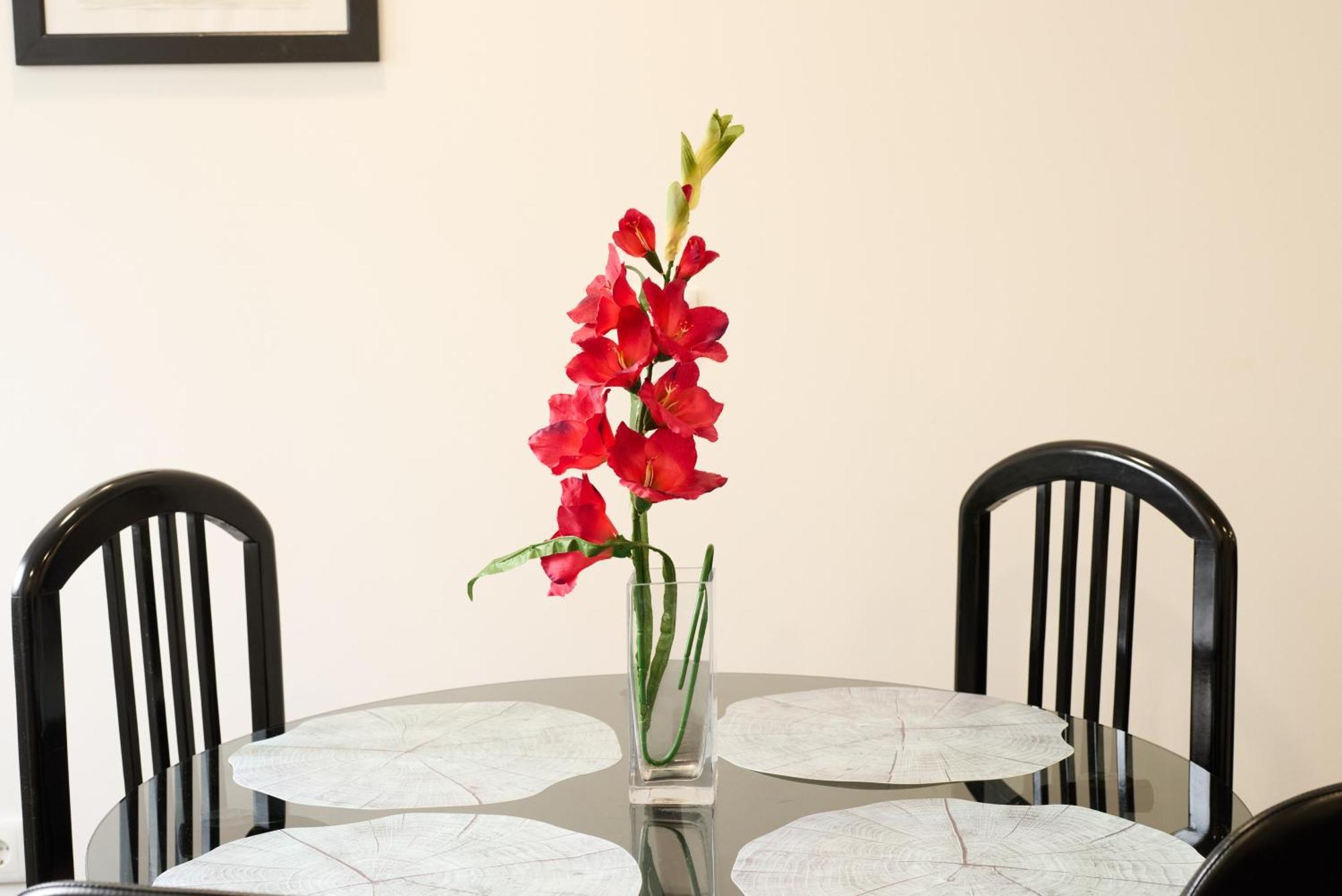 Appartement Aligrama *